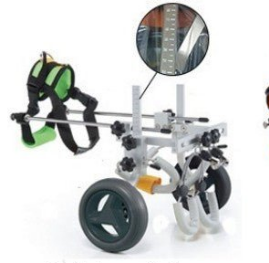 Harnais pour chien- Véhicule d'assistance