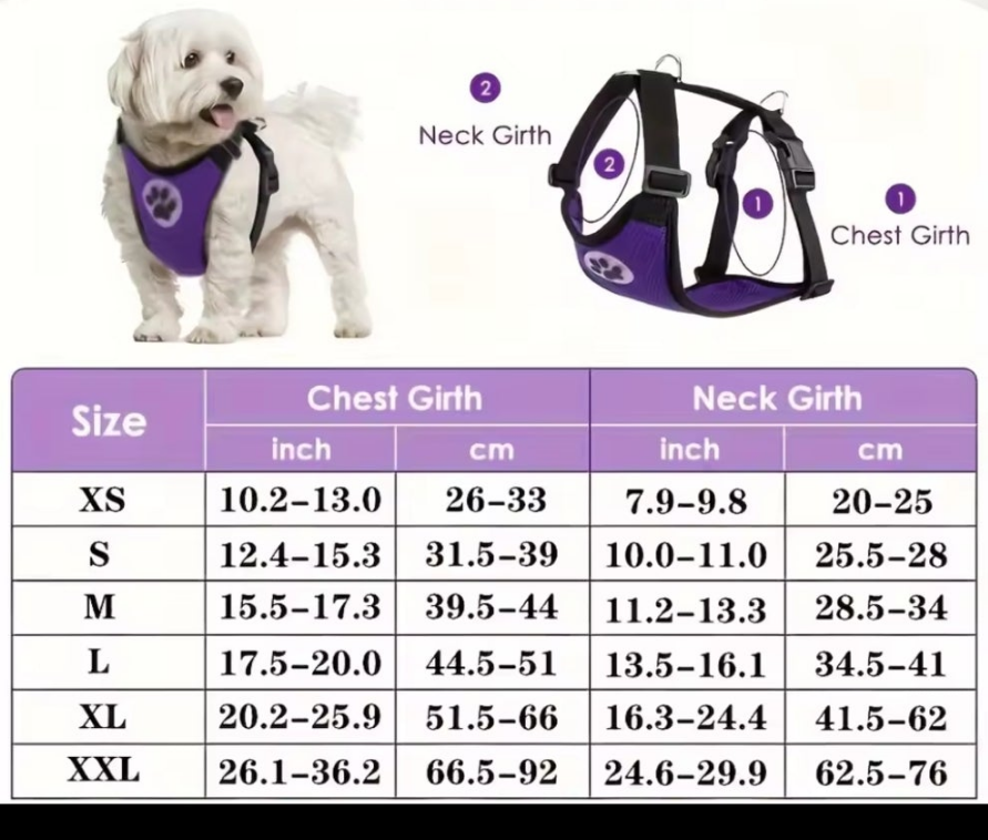 Laisse pour chien- Duo auto Pratico