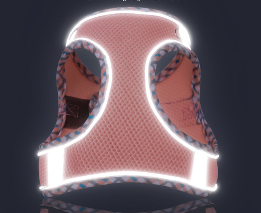 Harnais chien- Adventures Parfaites