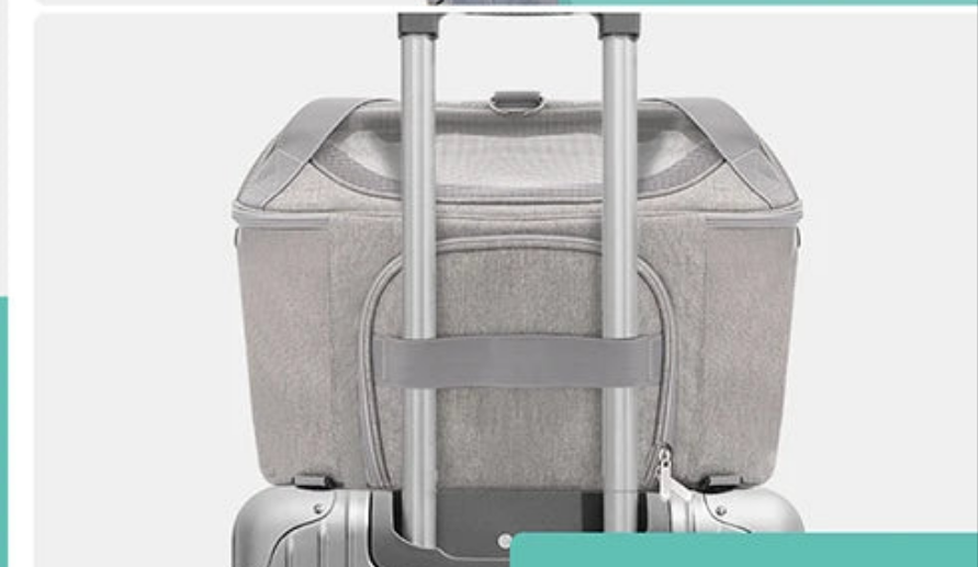 Caisse de transport chien- Outgoing bag.