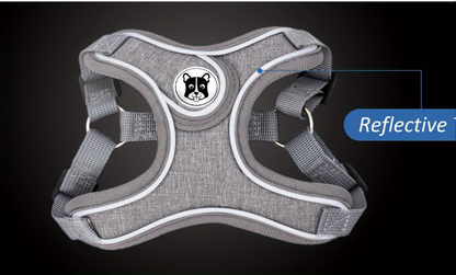 Laisse de chien- Bulldog Laisse- Harnais pour chien