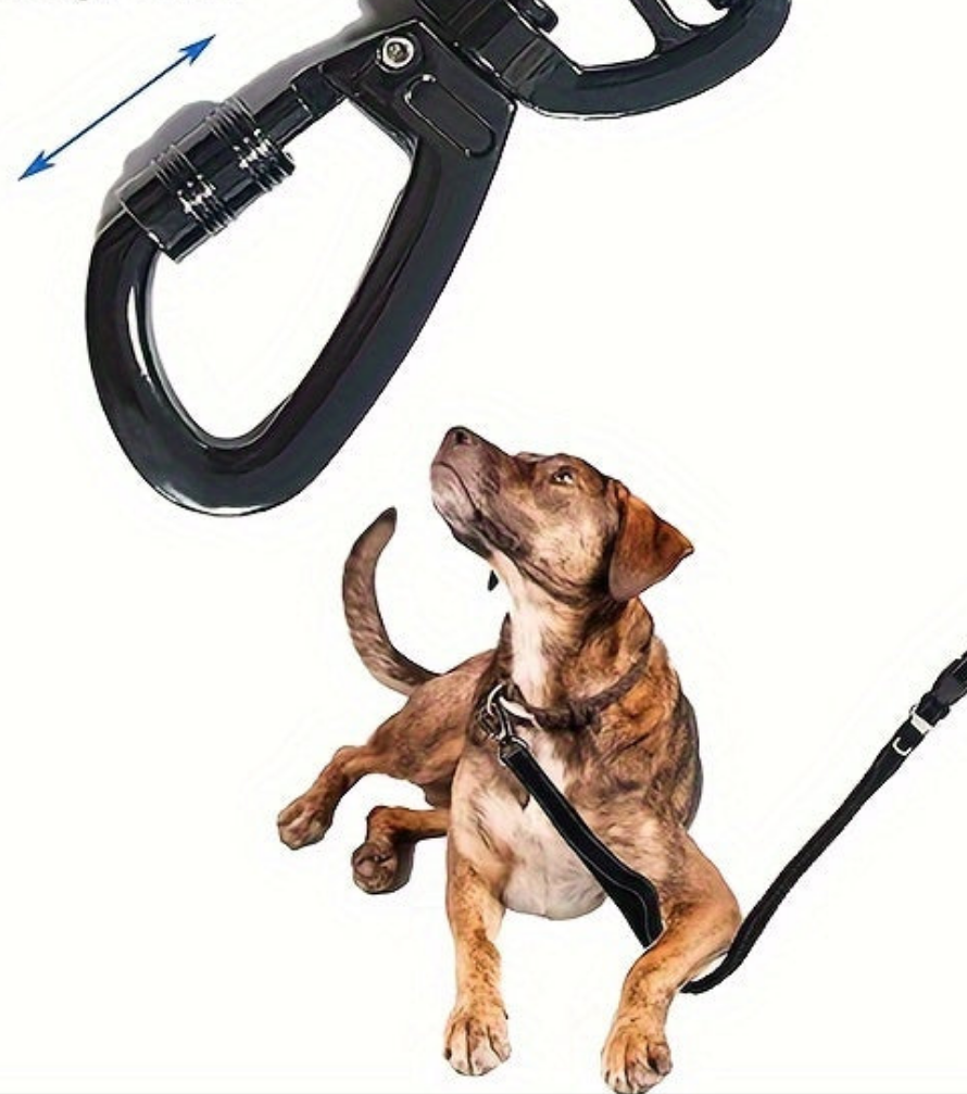 Laisse de chien- Bungee anti traction