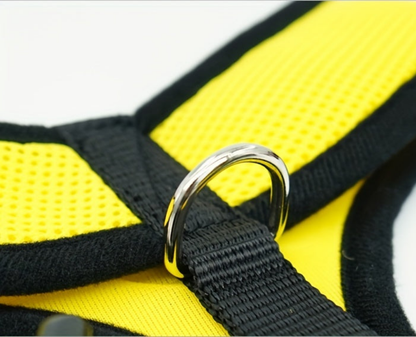 Harnais chien-LOVE Paw