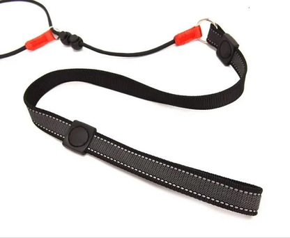 Laisse pour chien JANPET Choking Rope