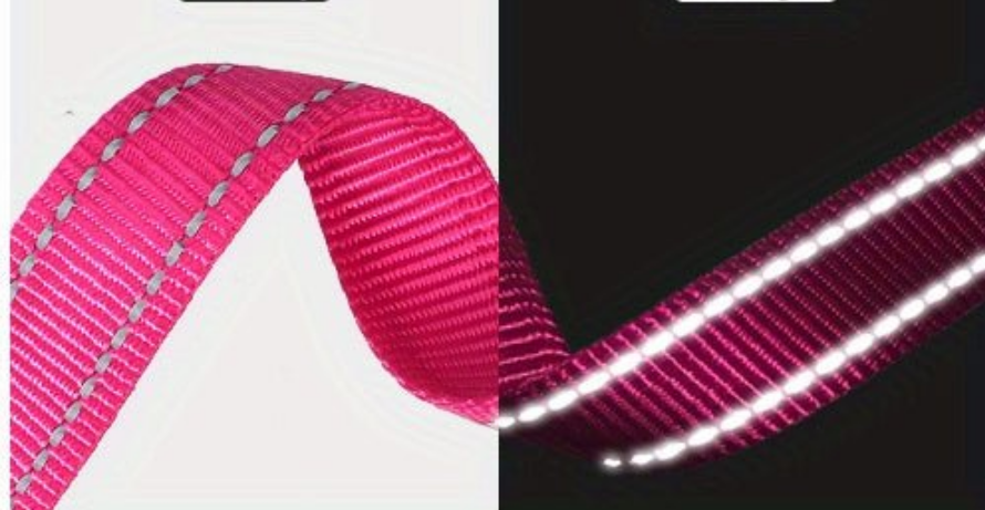 Collier chien- JOYTALE High-Visibility Reflective