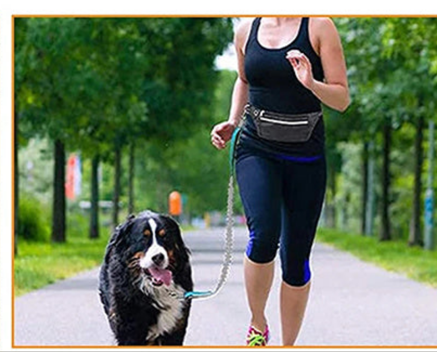 Laisse de chien- Ultimate Comfort