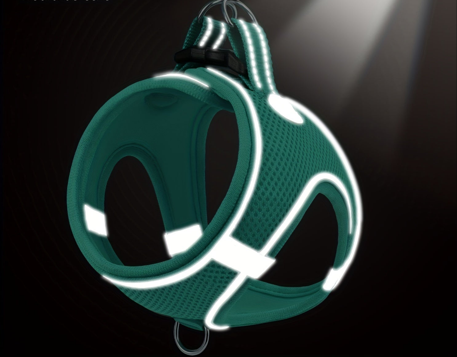 Laisse pour chien- Joytale Reflective Laisse- Harnais