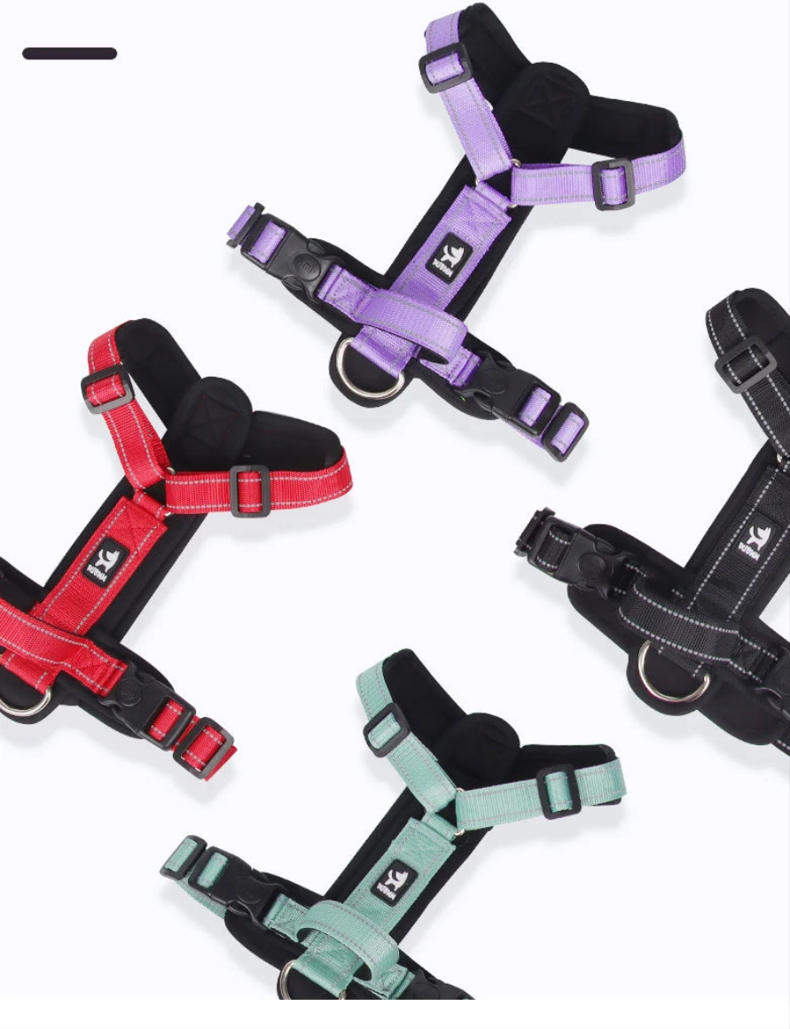 Harnais chien- Anti-Escape Dog