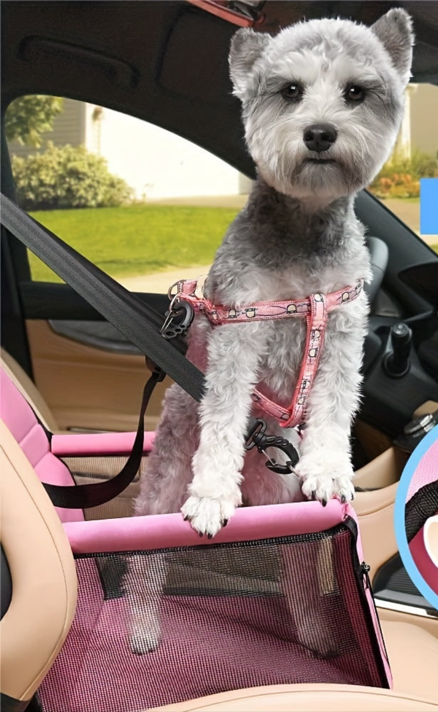 Caisse de transport chien- Car Booster Seat