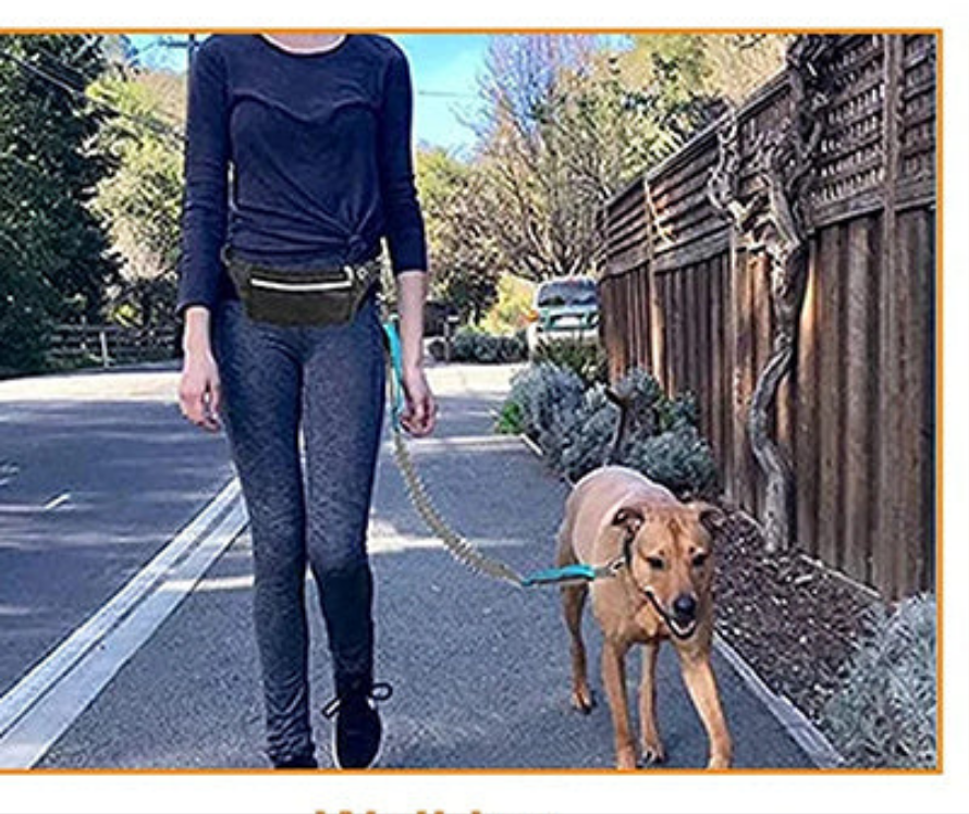 Laisse de chien- Ultimate Comfort