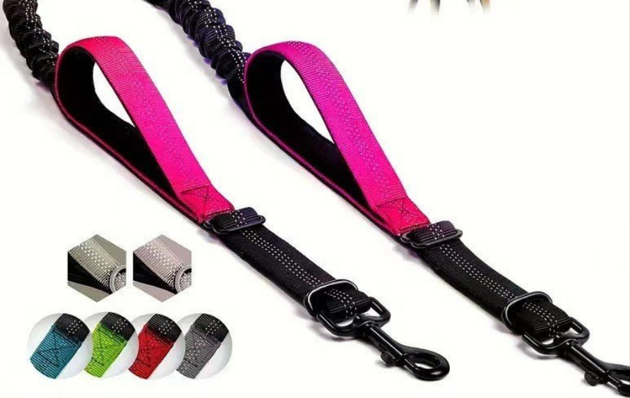 Laisse pour chien- Double rallonge anti-choc