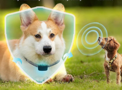 Collier de dressage pour chien - Arrêt intelligent des aboiements