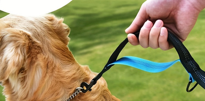 Double Laisse pour chien- Laisses mains libres pour chiens