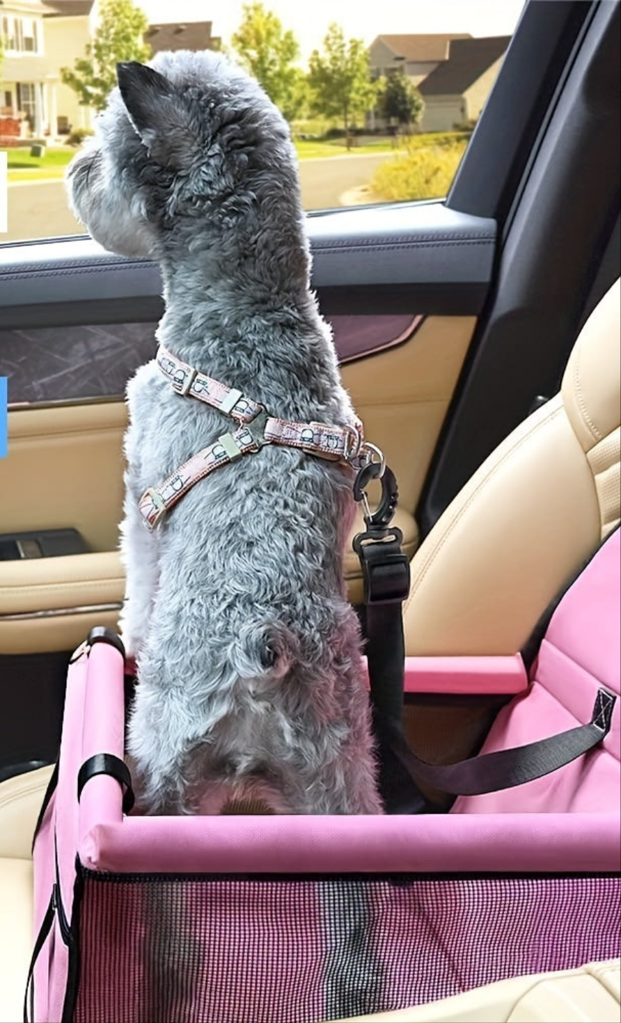 Caisse de transport chien- Car Booster Seat