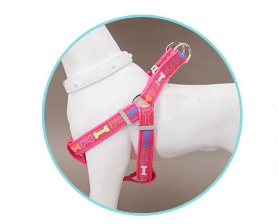 Harnais chien- Colorful bone tripod
