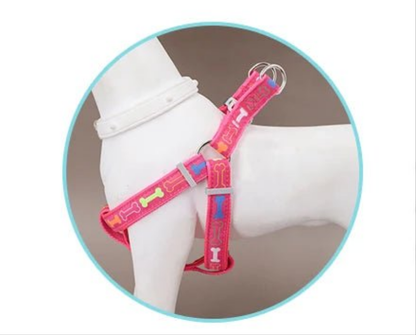 Harnais chien- Colorful bone tripod