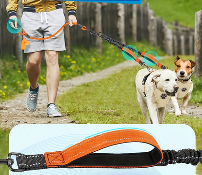 Laisse pour chien- Laisse Double Poop Bag