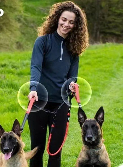Laisse pour chien- Double rallonge anti-choc