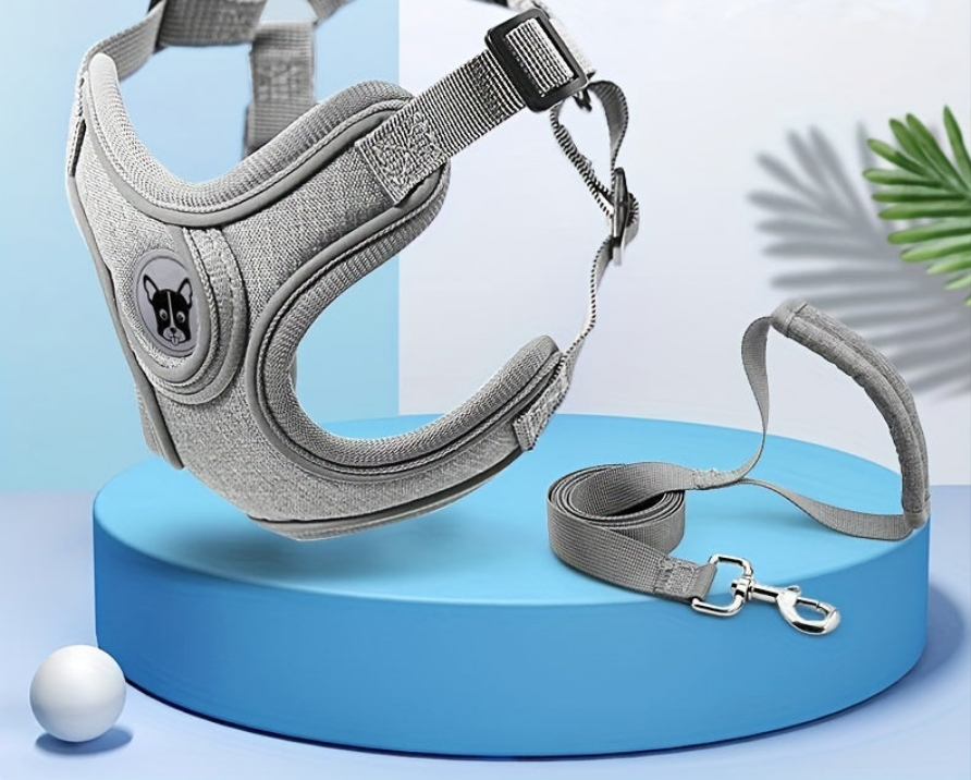 Laisse de chien- Bulldog Laisse- Harnais pour chien