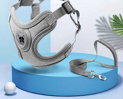 Laisse de chien- Bulldog Laisse- Harnais pour chien