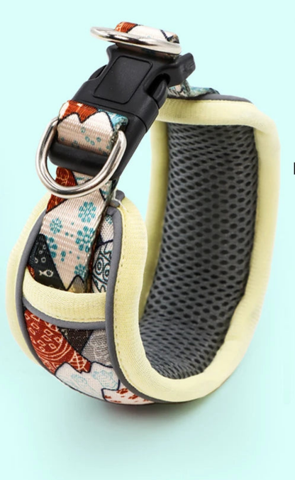 Collier de dressage pour chien- Confortable Extensible