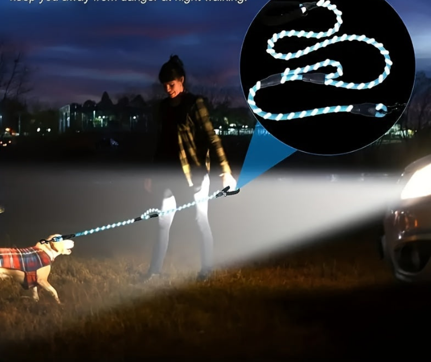 Laisse pour chien- Double Prise Confort