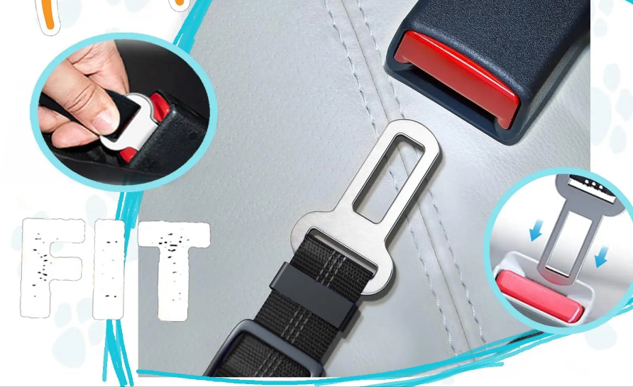 Laisse pour chien- Ceinture de sécurité pour chien GOYN