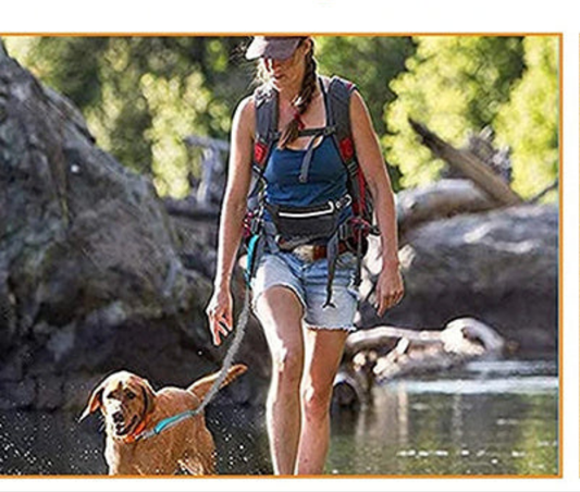 Laisse de chien- Ultimate Comfort