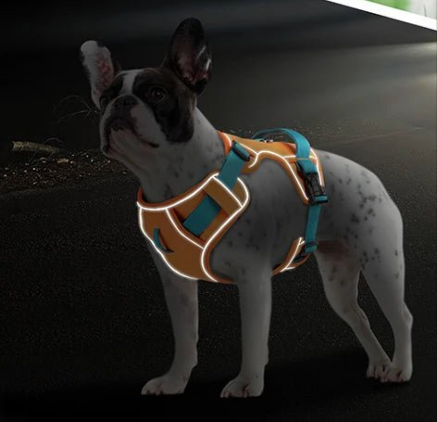 Harnais chien anti traction- Robuste Didog