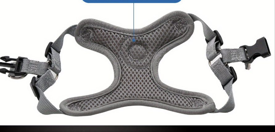 Laisse de chien- Bulldog Laisse- Harnais pour chien