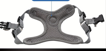 Laisse de chien- Bulldog Laisse- Harnais pour chien