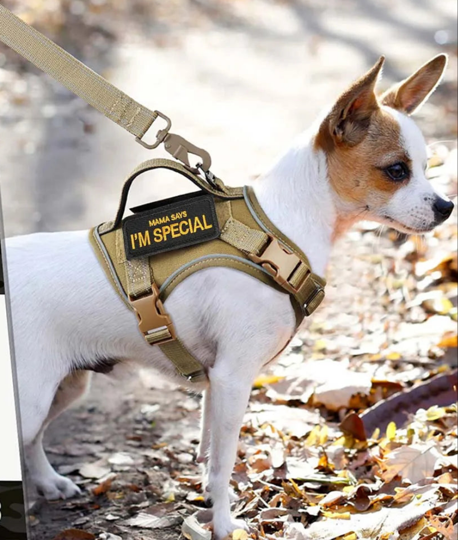 Harnais anti traction chien- EASTONG