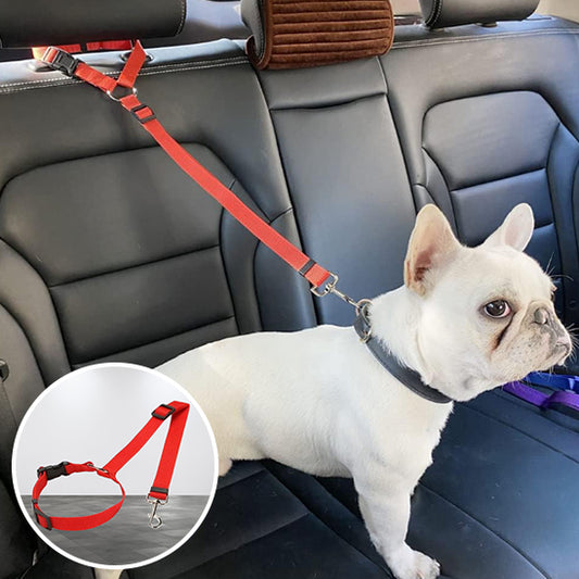 Laisse chien- Ceinture auto-pratico