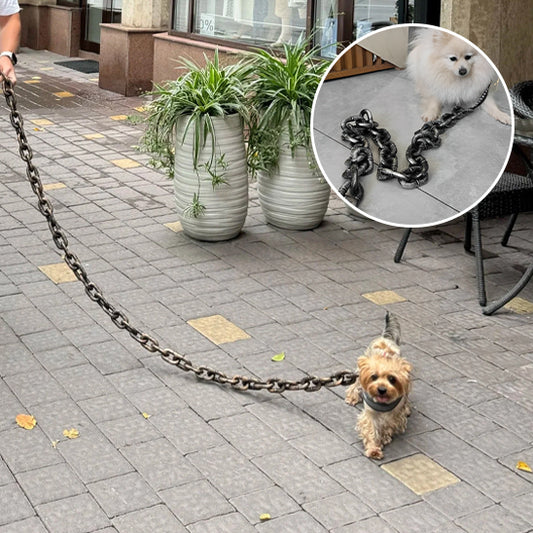 Laisse pour chien-chaine