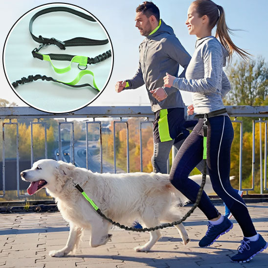 Laisse pour chien-Mains libres