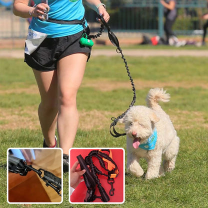 Laisse pour chien-Mains libres