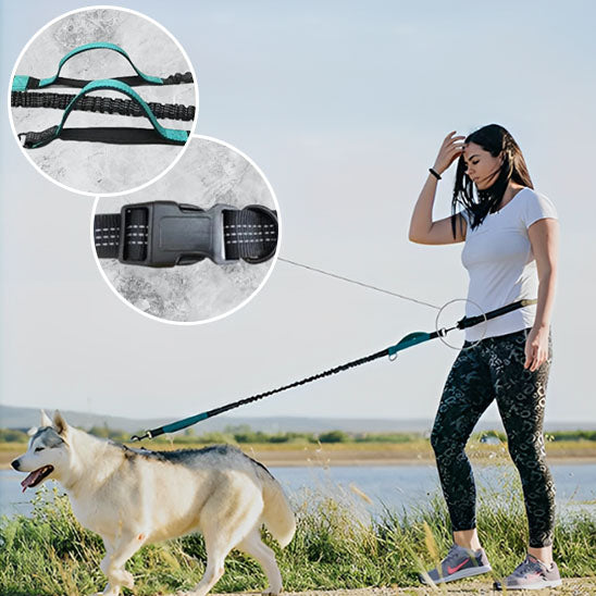 Laisse pour chien-Mains libres
