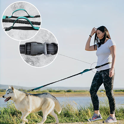 Laisse pour chien-Mains libres