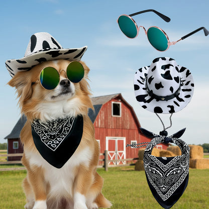 Lunette pour chien | Style Western +Chapeau et bandana 2