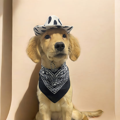 Lunette pour chien | Style Western +Chapeau et bandana 3