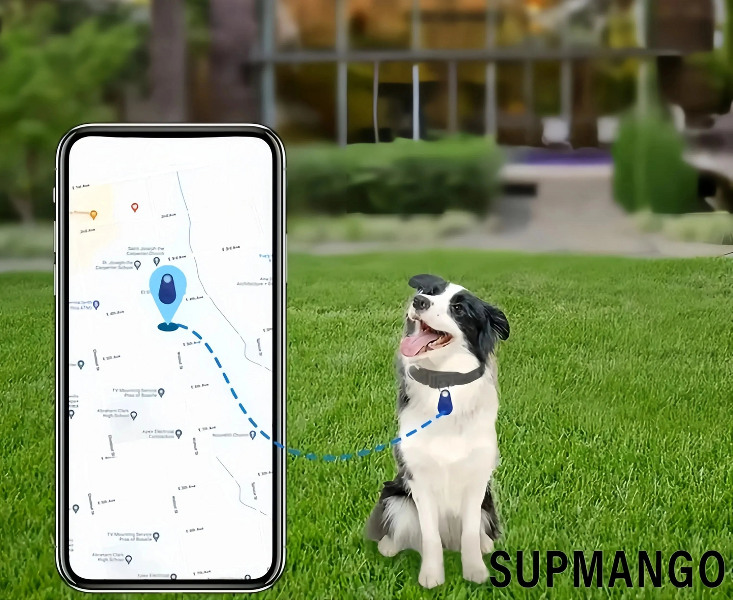 Collier anti fugue chien- Smart Anti-Lost Locator