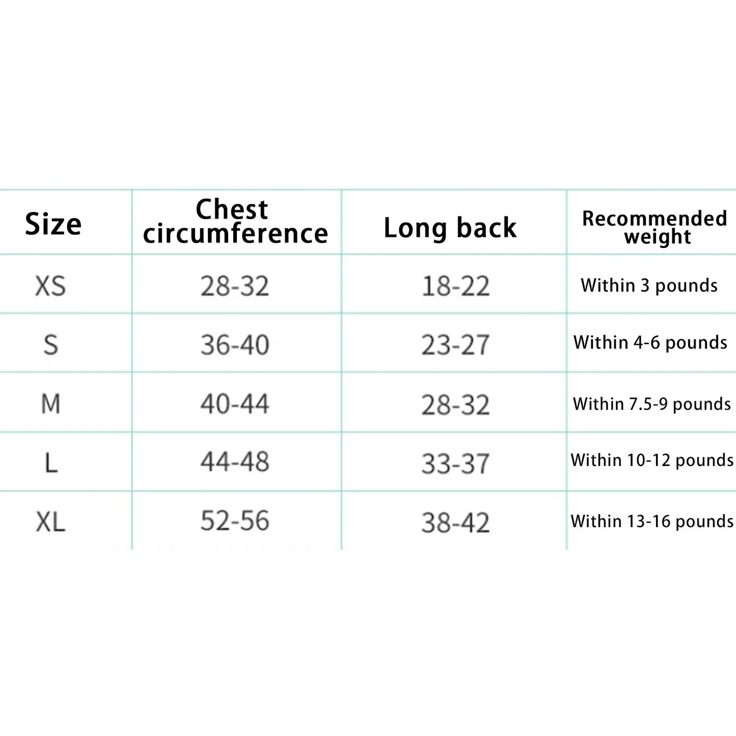 Robe pour chien | Halloween Festive