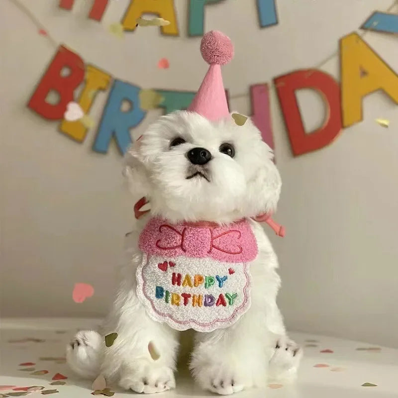 Chapeau Festif pour Chien | Anniversaire Mémorable