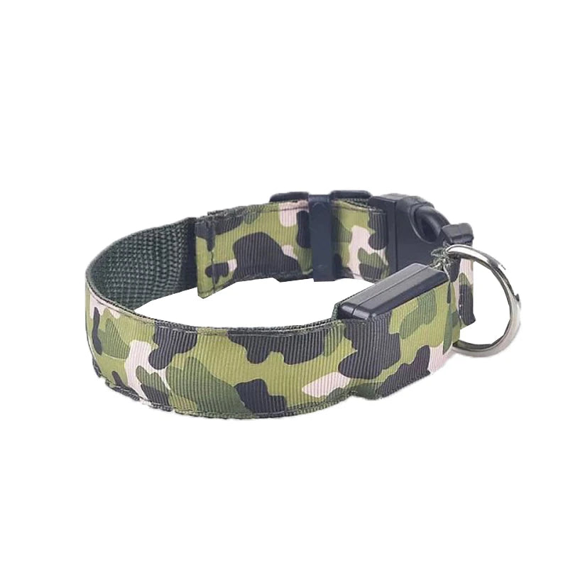 Collier chien lumineux-Camouflage LED