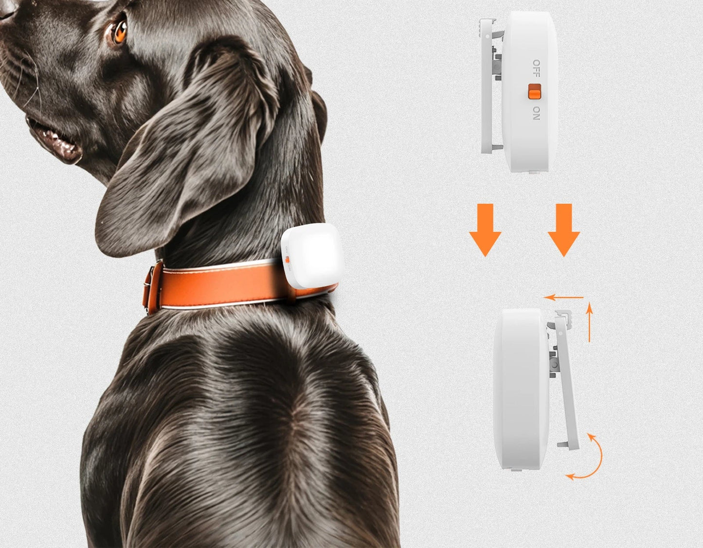 Collier anti aboiement chien | Vibradouceur