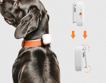 Collier anti aboiement chien | Vibradouceur