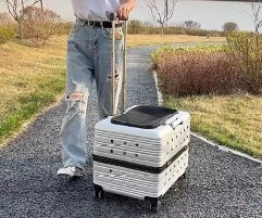 Cage pour chien- NIOPEPPA Suitcase Transparent