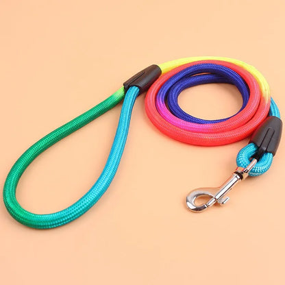 Laisse de chien- Laisse corde pour chien Arc en Ciel