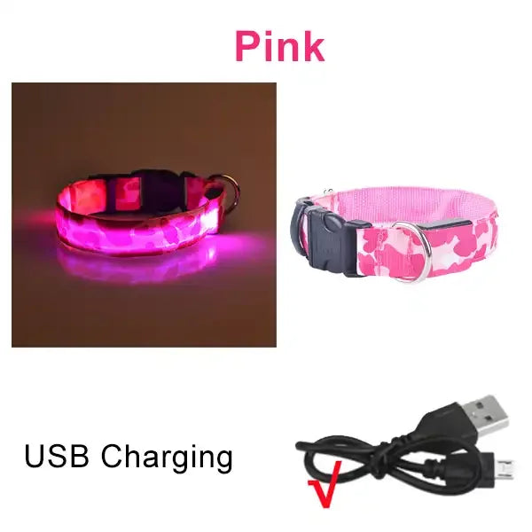 Collier chien lumineux-Camouflage LED