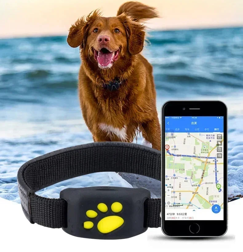 Collier GPS pour chien- Anti-Loss Real-Time Tracking